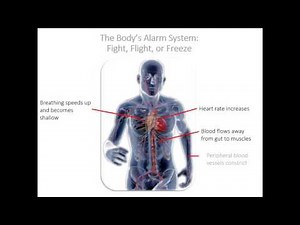 CJCA Webinar: What Trauma Informed Care Really Means