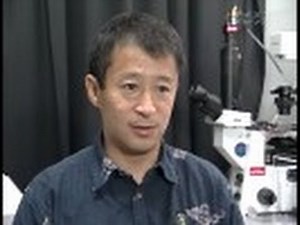 サイエンスフロンティア２１ （３７）マイコプラズマ～滑走するバクテリア～