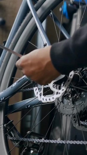 5 comments | Chasing sunshine and smooth trails. Happy ‘Go for a Ride’ Day! ‍♀️ | Tailwind Nutrition | Facebook