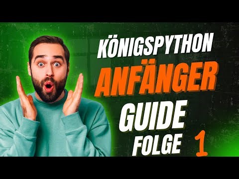 Royal Python Beginner's Guide 🐍 Is the ball python the right reptile for you?