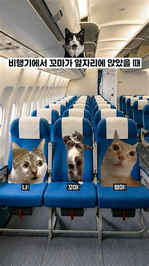 비행기에서 꼬마가 옆자리에 앉았을 때 ✈️