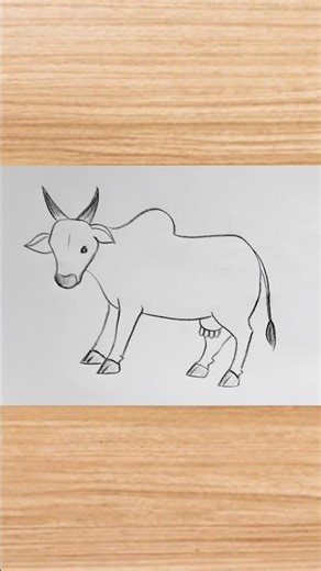 How to draw cow drawing easy step by step