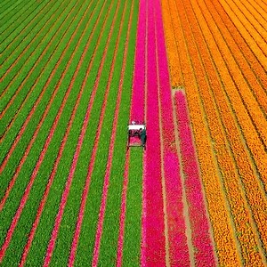 341K views · 153 reactions | Passport Stamps on Reels | Facebook