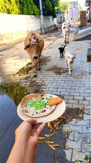 Pet ❤️ Friends: Calf & Golden Retriever Share a Bread! 🐮🐶 #shorts #animalfriendship #goldenretriever
