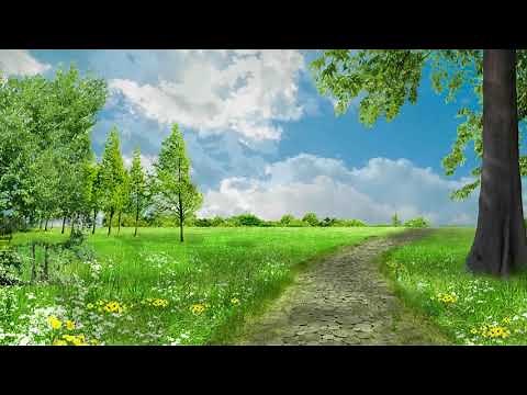 Beautiful Landscape Free Background Video, Amazing Scenery 1080p
