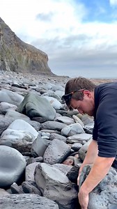 211K views · 3.6K reactions | We came across a fresh shale landslide!...