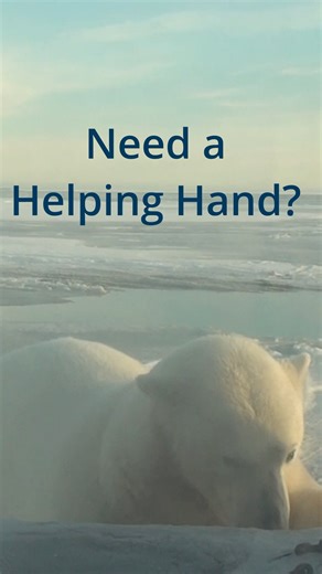 Ever got your truck stuck in the snow and needed a little push? Sometimes help comes from the most unlikely places! | Expeditions Alaska