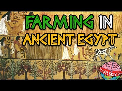 Farming in Ancient Egypt