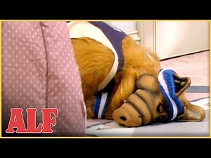 ALF Tries to Find a Hobby, What Will He Choose? | S4 Ep5 Clip
