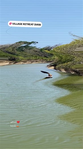 Activity 2: Kayaking 🚤 paddle by paddle along Congo River. @VILLAGE RETREAT DIANI @MagicalKenya #thingstodoinDiani #satimaexpeditions #diani #createunforgettablememories #magicalkenya