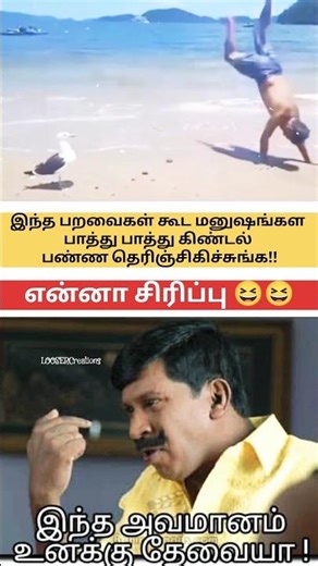 Indha avamanam unakku thevaiya 😆😆 | LOOSERCreations