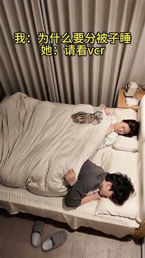 The Quilt Revolution: Flaws and Fluff Unveiled