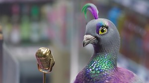 Funky Pigeon: Give a Funk • Ads of the World™ | Part of The Clio Network
