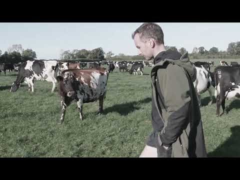 The Badger Cull Explained - TB Free England