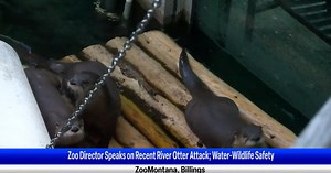 Local expert speaks on wildlife behavior and safety after an otter attack injured three woman