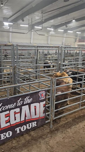 5.6K views · 64 reactions | “Where courage meets dirt and dust turns into legends.” Bull riding is happening tonight at McGee Park. Where the dirt flies, the crowd’s loud, and the adrenaline is real! Happening soon, so rosin up those ropes, boys — your round is coming! Casper Baca Rodeo Company | McGee Park | Facebook