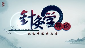 Introduction to Acupuncture and Moxibustion