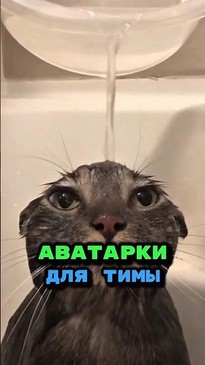 Все аватарки в ТГК ❤️ #мемы #аватарки #авы #аниме #мем #тикток
