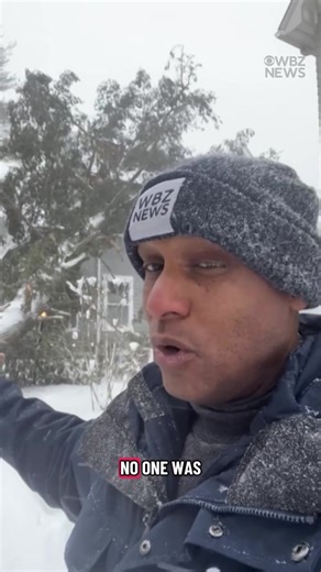 A giant pine tree came crashing down on a house in Wellesley during the blizzard on Monday. | WBZ / CBS News Boston