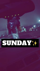 STILL WAR EAGLE‍✨拾 LOYALTY OVER EVERYTHING | Stephanie Carter | Facebook