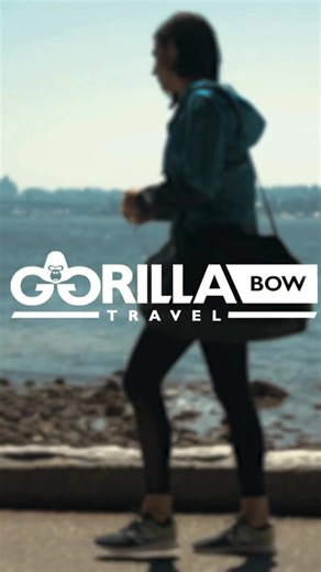 Join the Mobile Fitness Revolution! Gorilla Bow resistance band training gives you a full body workout, reduces injury, and maximizes results in less time. | Gorilla Fitness