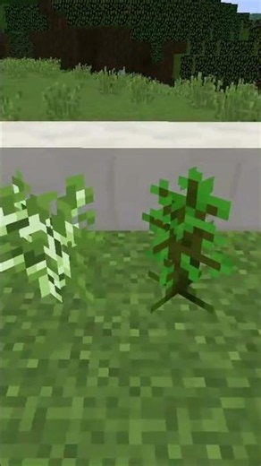 Todas as Saplings do Minecraft
