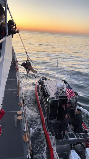 Coast Guard K9 Training: Canine Hoist Operation