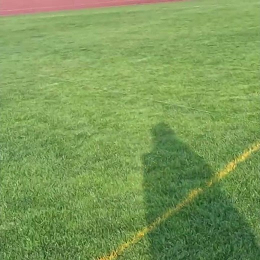 Renegade Dog Lures - Lure Coursing Demo