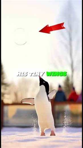 Penguin Loves Playing with Bubbles 🐧💙 | Cutest Thing You’ll See Today