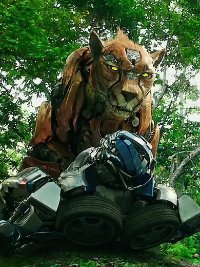 Meet The swiftest cat Cheetor🐆🐆 #cheetortransformers #cheetor #maximals #maximal #transformers #transformersriseofthebeasts #transformersedits #playful #cat #cheetah #capcut #edit #fyp #foryoupage #fypage #fypシ゚viral #everyone