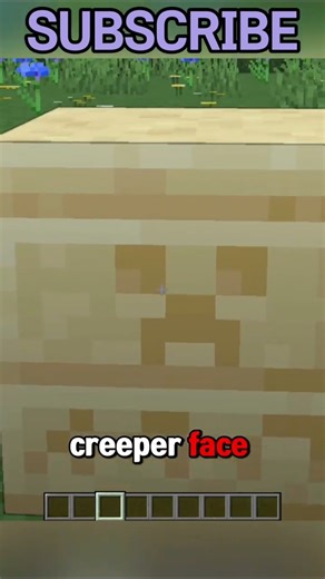 Minecraft has some really weird blocks 😳.. #usa #minecraft #shorts