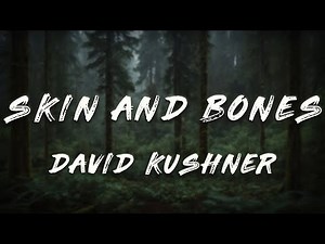 David Kushner - Skin and Bones (Lyrics)