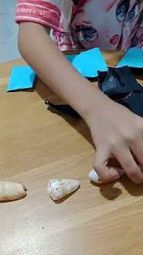 beautiful sea shell blind bag opener #beachcombing #mushroom #canadacoast