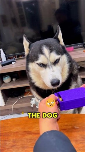 When Magic Fails but Treats Save the Day #shorts