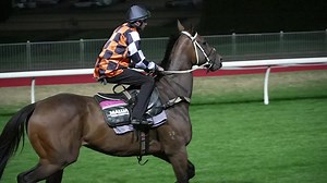 15K views · 139 reactions | "He's not ready to go to the paddock & sit there for another 20 years." Astro is back in form & ready to give the William Reid a shake  Malua Racing | Racing.com | Facebook