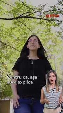 Găurile negre: o viitoare sursă de energie? | ARTE.tv Documentare
