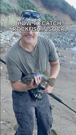 Super easy strategy to catch rockfish in Southern California #fishing #rockfish #shorefishing #socal