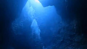 🌊 An Unforgettable Ocean Hunter Adventure 🐠 One of our guests beautifully captured their journey aboard Ocean Hunter, showcasing Palau’s stunning underwater wonders. Watch their video and get inspired for your next adventure! 📍 www.oceanhunter.com #PalauDiving #OceanHunter | Fish'nFins Palau