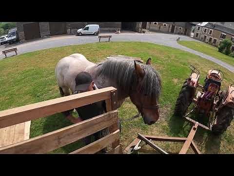 OUTIL AGRICOLE ANCIEN : La trépigneuse à cheval, ancêtre de la batteuse cheval de Trait Ardennais