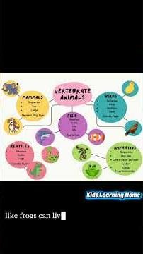 Vertebrate Animals for Kids | Learn the 5 Groups of Vertebrates with Easy Examples