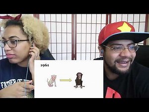 Sam O' Nella History Lesson: Animals In Space