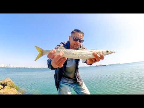I was surprised to See Barracudas and Mackerels at Pier J in Long Beach CA