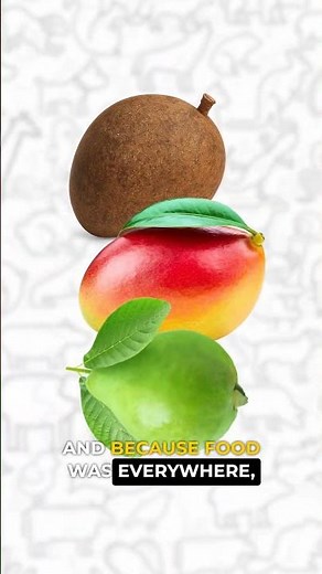 The Real Reason Dodos Went Extinct 🕊️❌