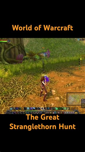 I track down a massive raptor for the kill.