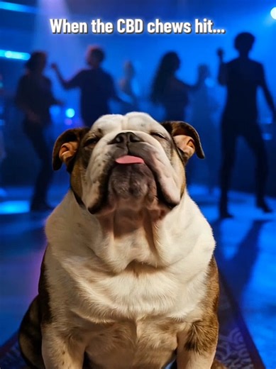 #CapCut #bulldog #bulldogsoftiktok #bulldogs #ai