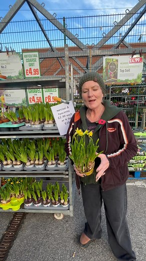 Spring bulbs | Tony Almond Home & Garden