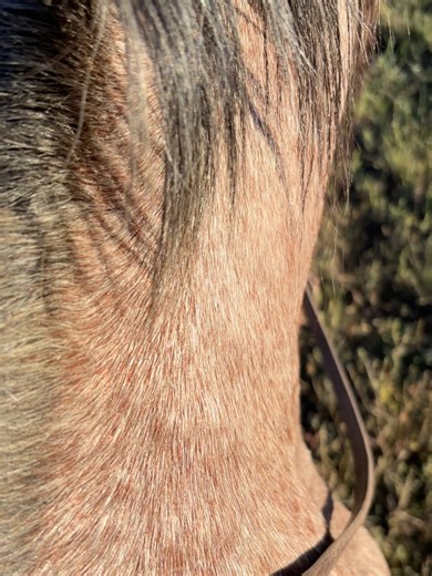 Peter Robbins on Reels | Facebook