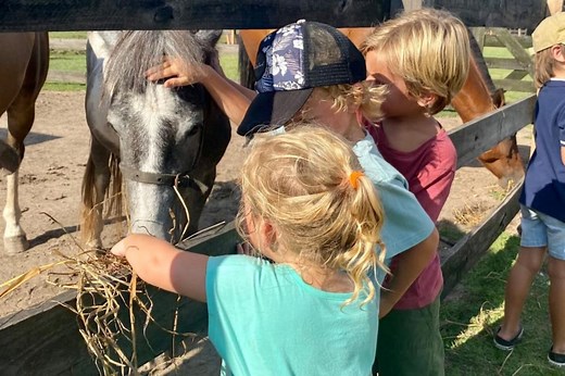 Granjas y complejos: seis lugares para pasar un día de campo en familia a una hora de CABA