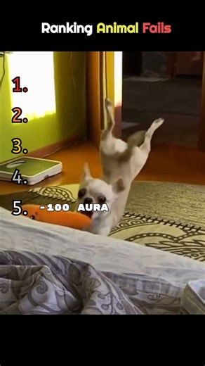 Funny Animals Videos #shorts #viral #funnyanimals #animalsfunny #usa #uk #australia