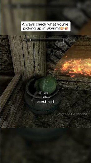 Always check what you're picking up in Skyrim!